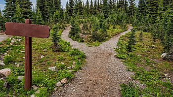 Hiking trails with signposting. Image under licence Pexels