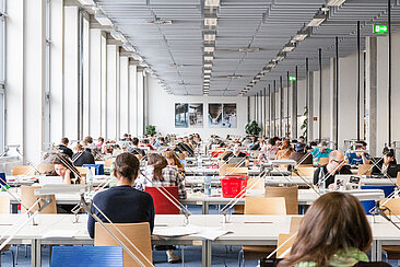 Students in the library 